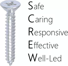 SAF 5 Key Domains